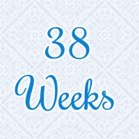 38-weeks